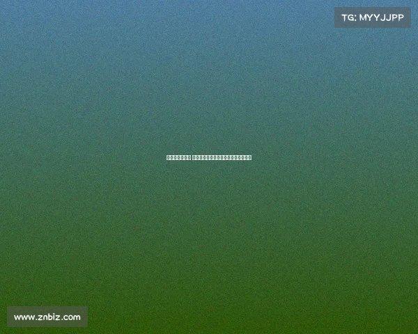 独行侠重塑未来 球队核心与新星合力打造全新王朝梦想